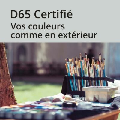 dk-social-visual6